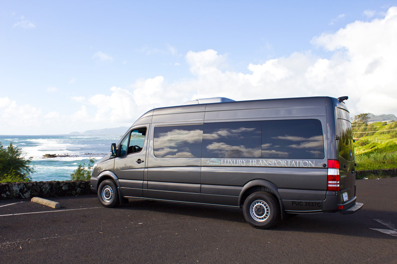 Kauai Sprinter Van tours